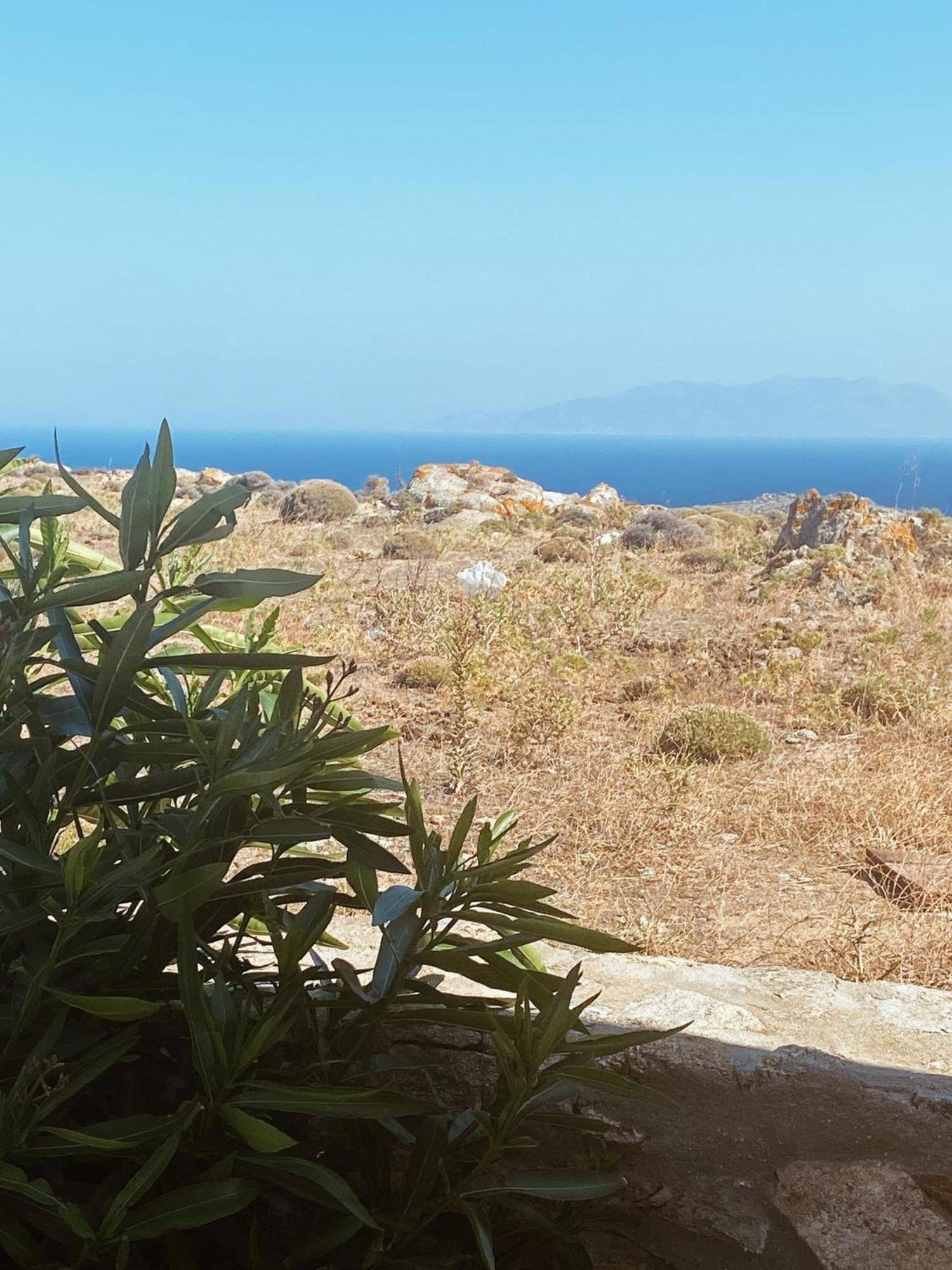 Naira Family Suites Mykonos Mykonos Town Bagian luar foto